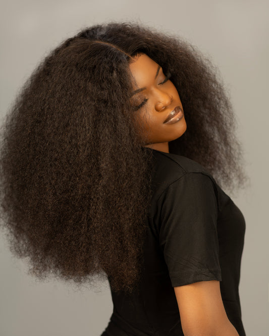 Premium Curly Burmese Human Hair 5 X 5 HD Closure Glueless Wig for Women 20 inches long